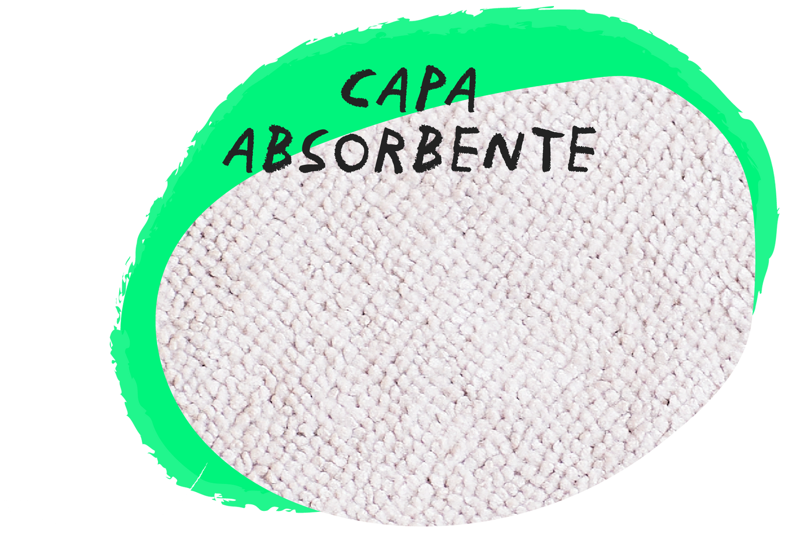 calzones menstruales Bloodygreen capa absorbente